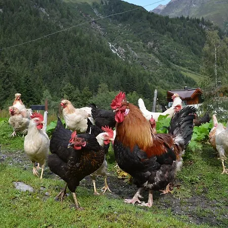 Appartementhaus Naturquell