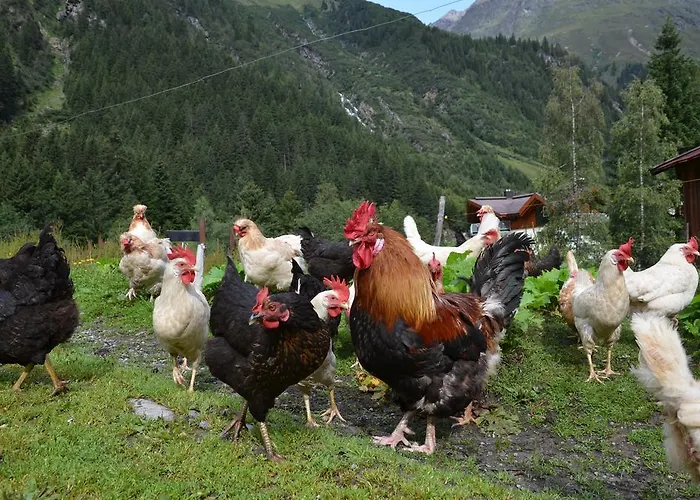 Appartementhaus Naturquell