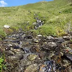 Lejlighed Appartementhaus Naturquell Sankt Leonhard im Pitztal